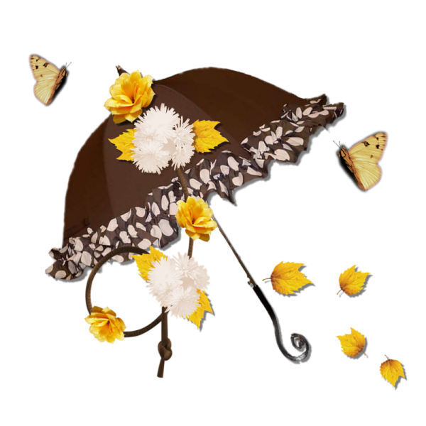 Осенний зонтик на белом фоне