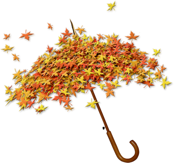 Осенний клипарт на прозрачном фоне