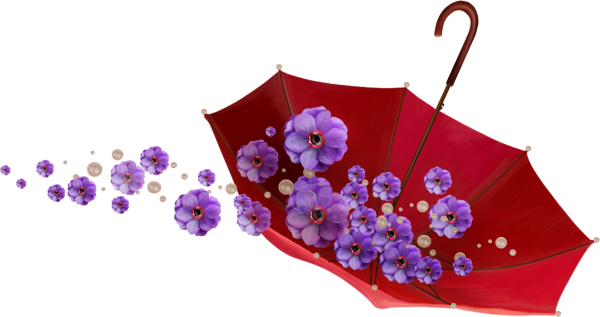 Цветы в зонтике на прозрачном фоне