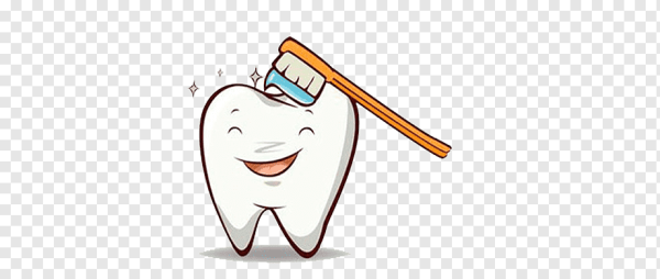 Зуб для презентации без фона