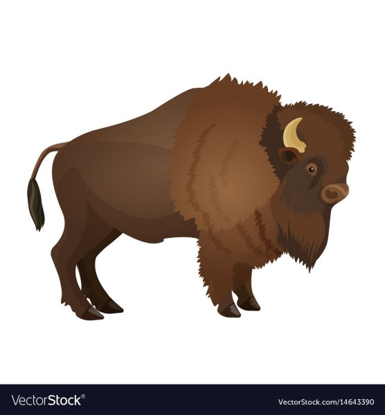 Бизон для детей на прозрачном фоне
