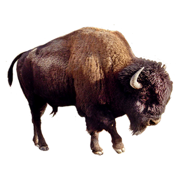 ЗУБР для детей