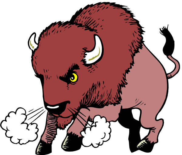 Бизон (Bison Bison)