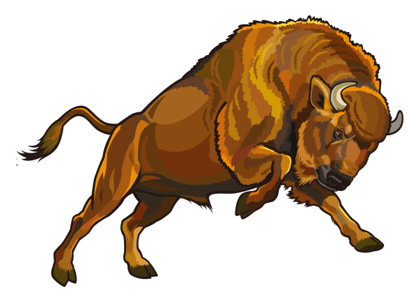 ЗУБР вектор