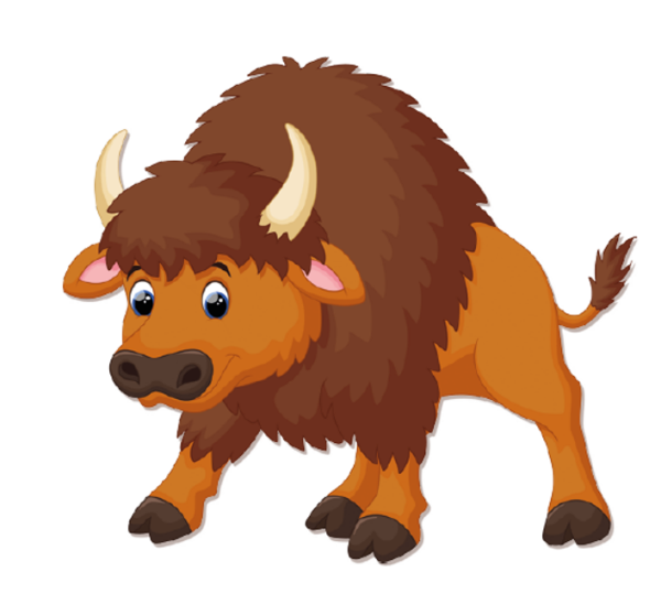 Изображение зубра для детей