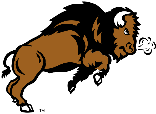 Бизон мультяшный