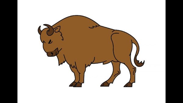 ЗУБР картинка для детей