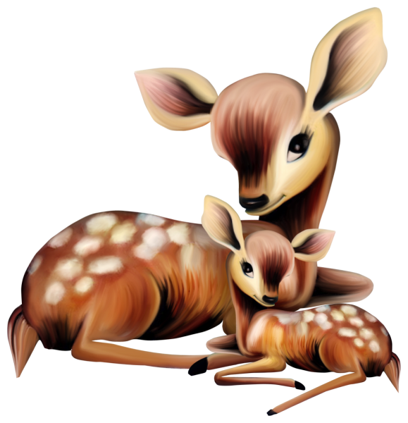 Иллюстрации животных