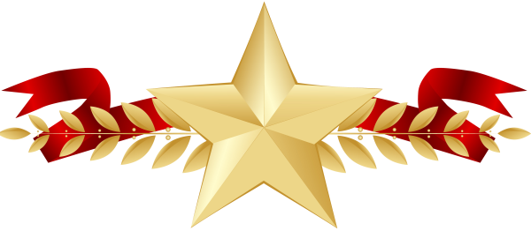 Звезда 23 февраля