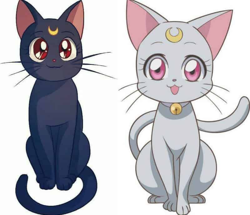 Картинки анимешных кошек
