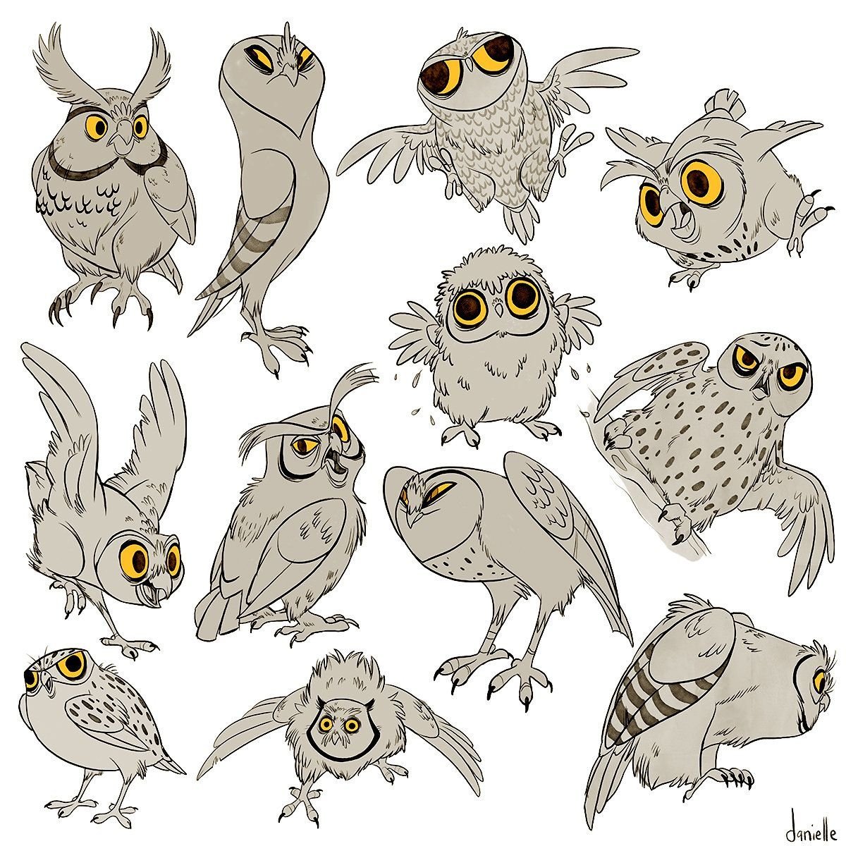 Owl_spicee