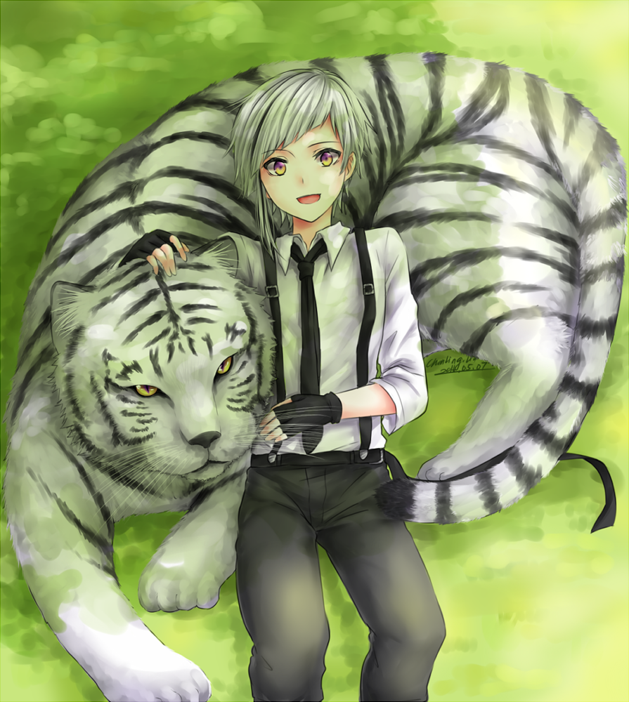 Тигр и собака мужчина. Накаджима Ацуши Великий. Ацуси Накадзима тигр. Белый тигр Ацуши. Бродячие псы Ацуши тигр.