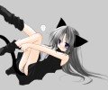 Аниме девушки кошечки
