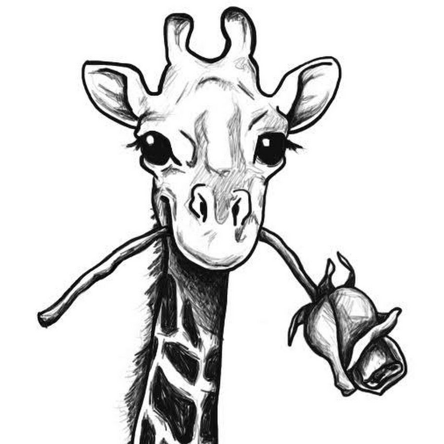 Жирафик карандашом