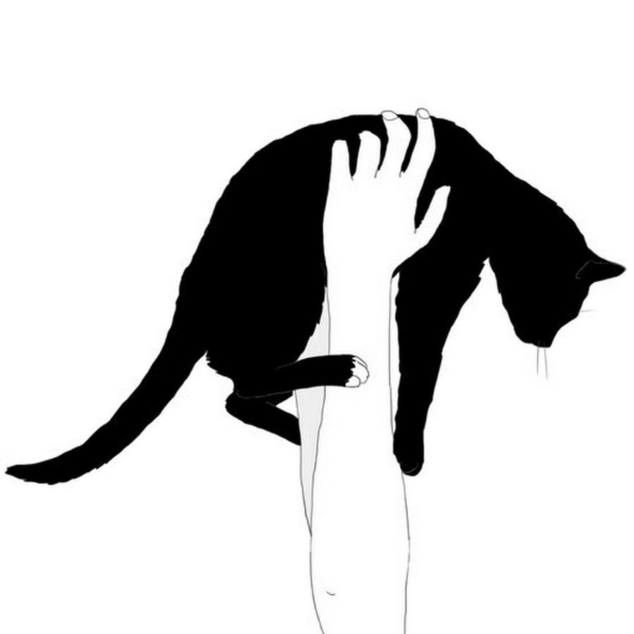 Аниме кот черно белый