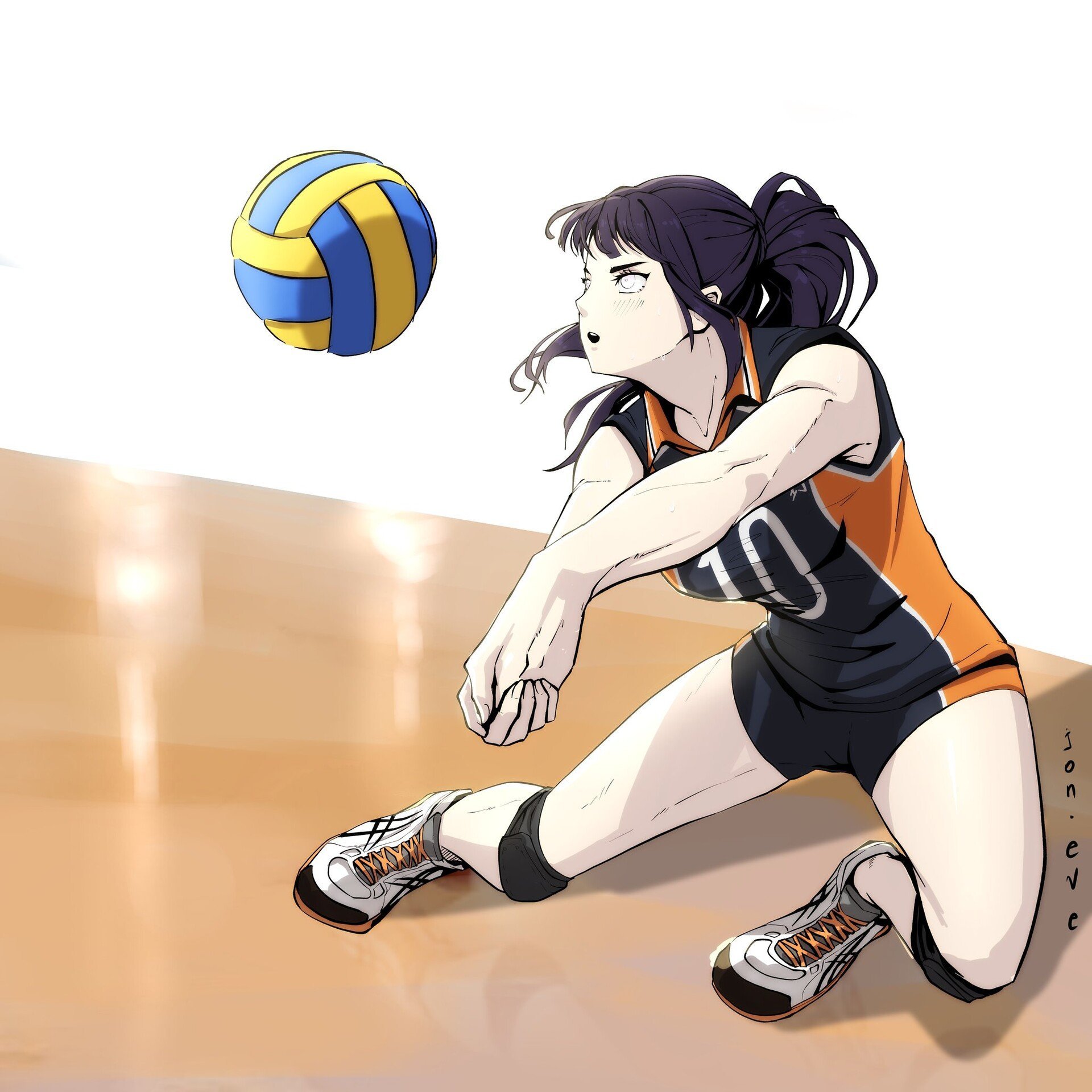 Anime Fans Volleyball