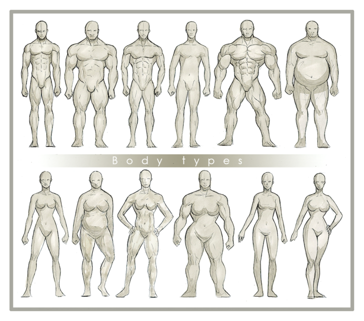 Телосложение типы у мужчин референс. Анатомия фигура человека референс. Мужская анатомия референс телосложения. Мужская анатомия референс позы.