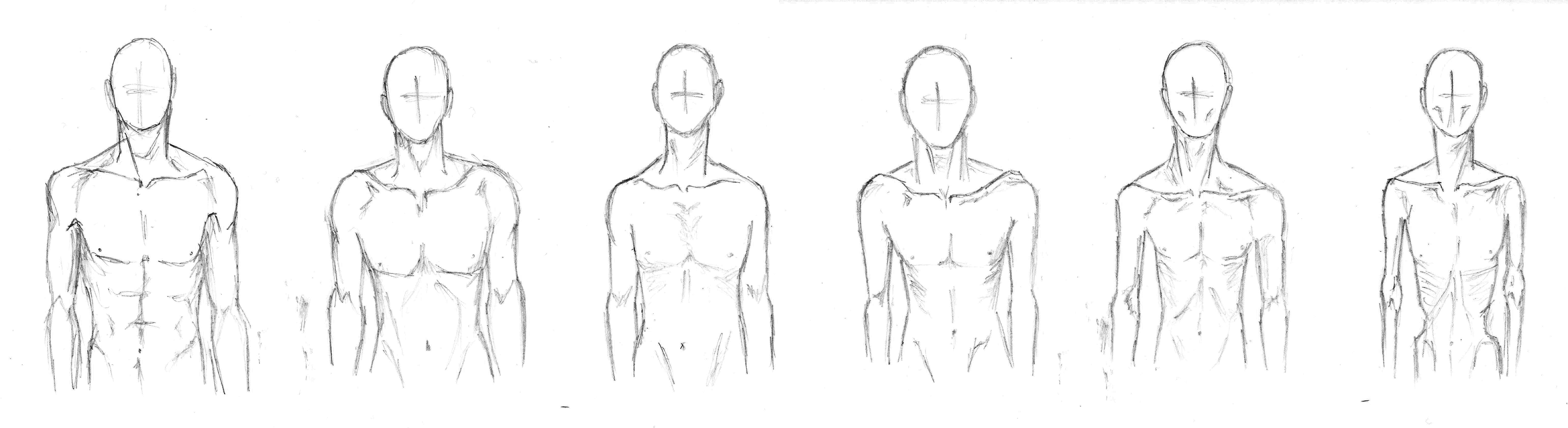 Мужское худое тело референс рисунок