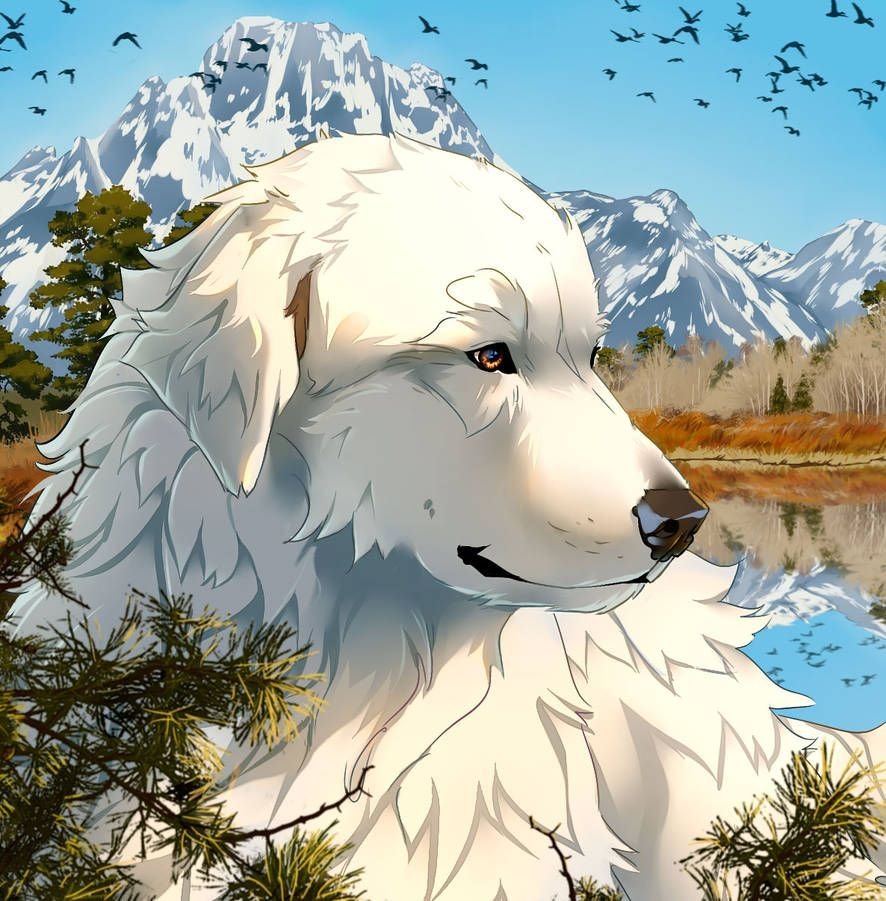 Белая собака аниме