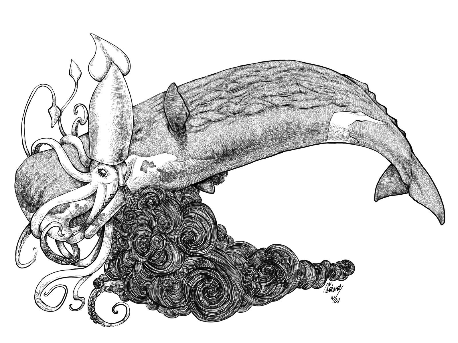 Рисунок кальмара карандашом - 80 фото