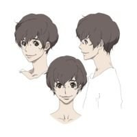 Твелв Эхо террора