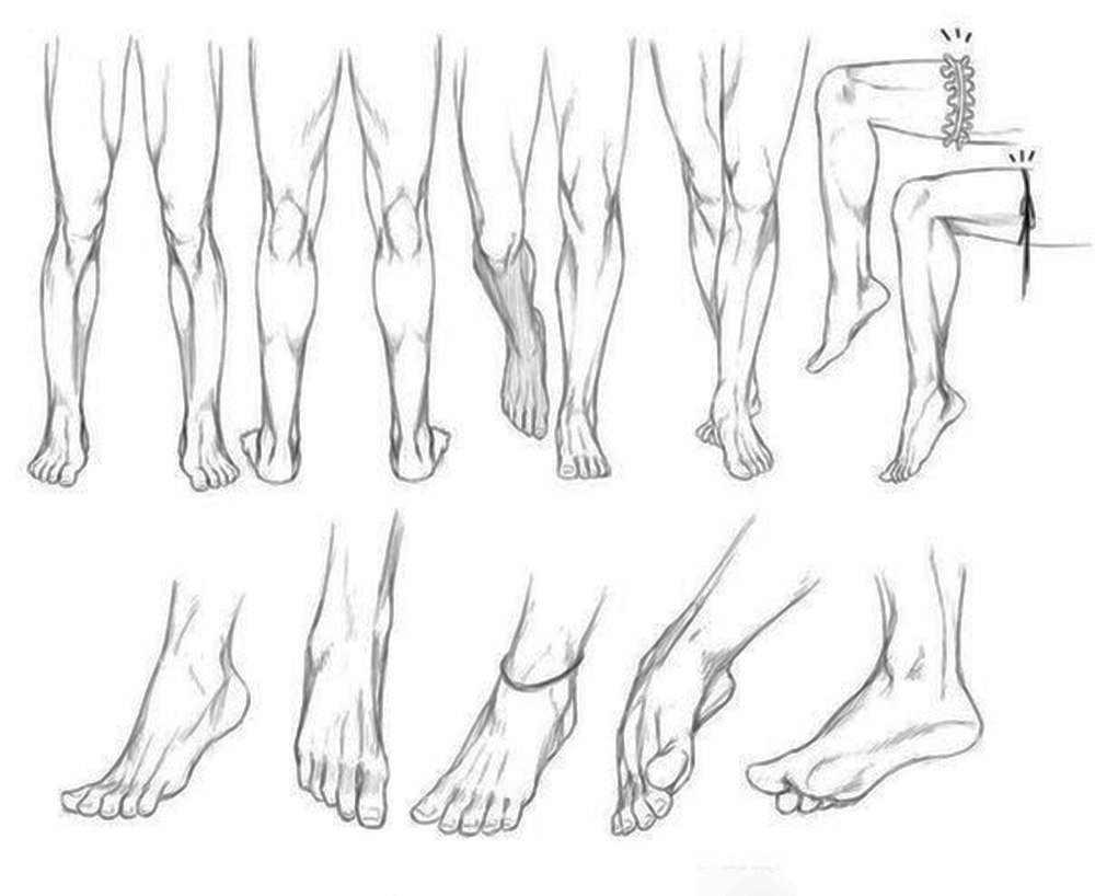Leg art. Нога спереди референс. Анатомия ноги стопы референс.