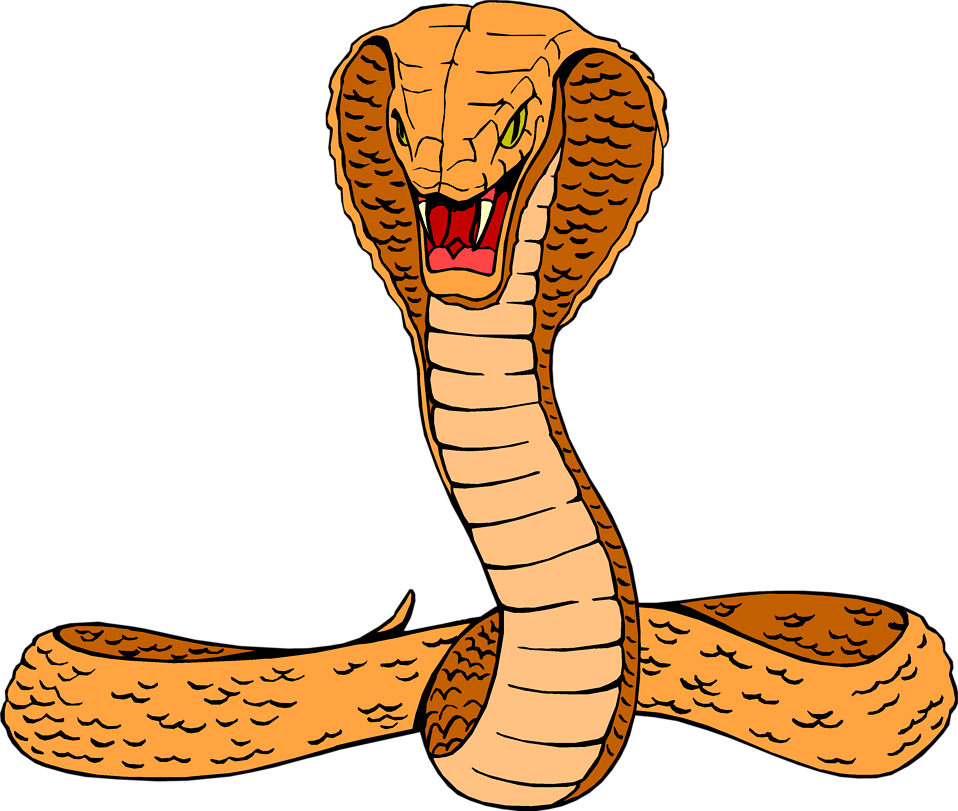 Голова змейки. Оранжевая Королевская Кобра. Змея мультяшный. Змея голова. Змея рисунок.