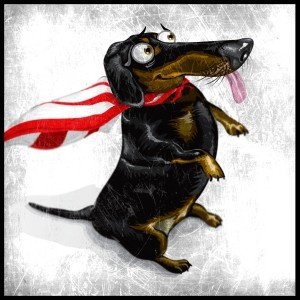 Wonder Wieners таксы