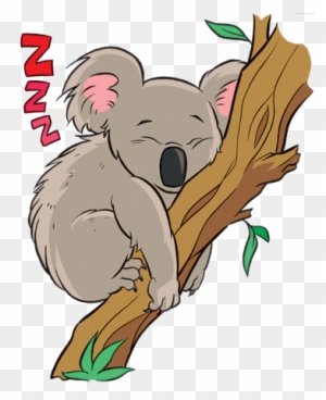 Коала аниме