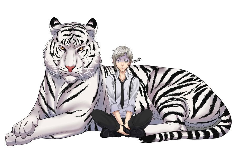 Тигр и собака мужчина. Ацуши Накаджима тигр. Бродячие псы Атсуши тигр. Атуши Накажима тигр. Великий из бродячих псов Ацуши тигр.