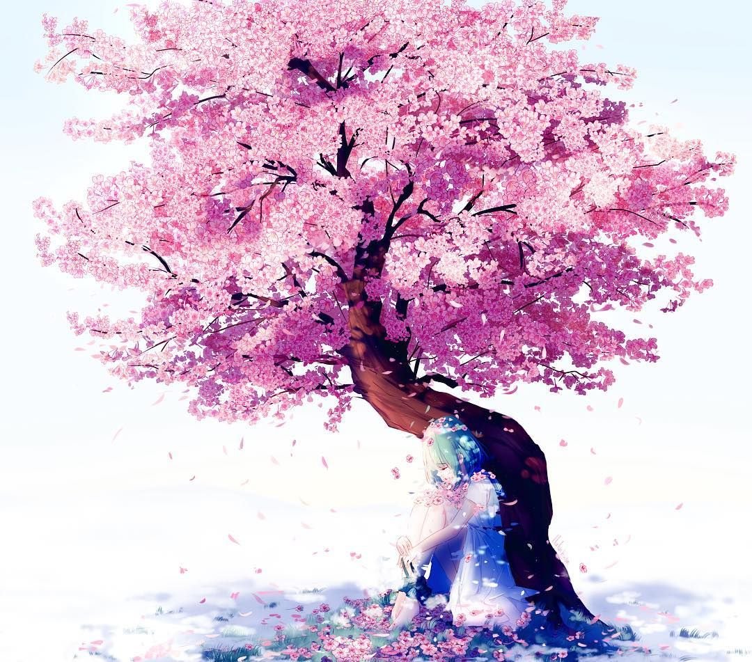 розовое дерево в китае