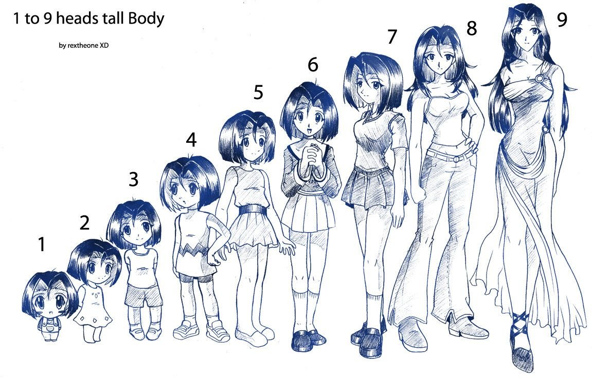 Пропорции аниме персонажей