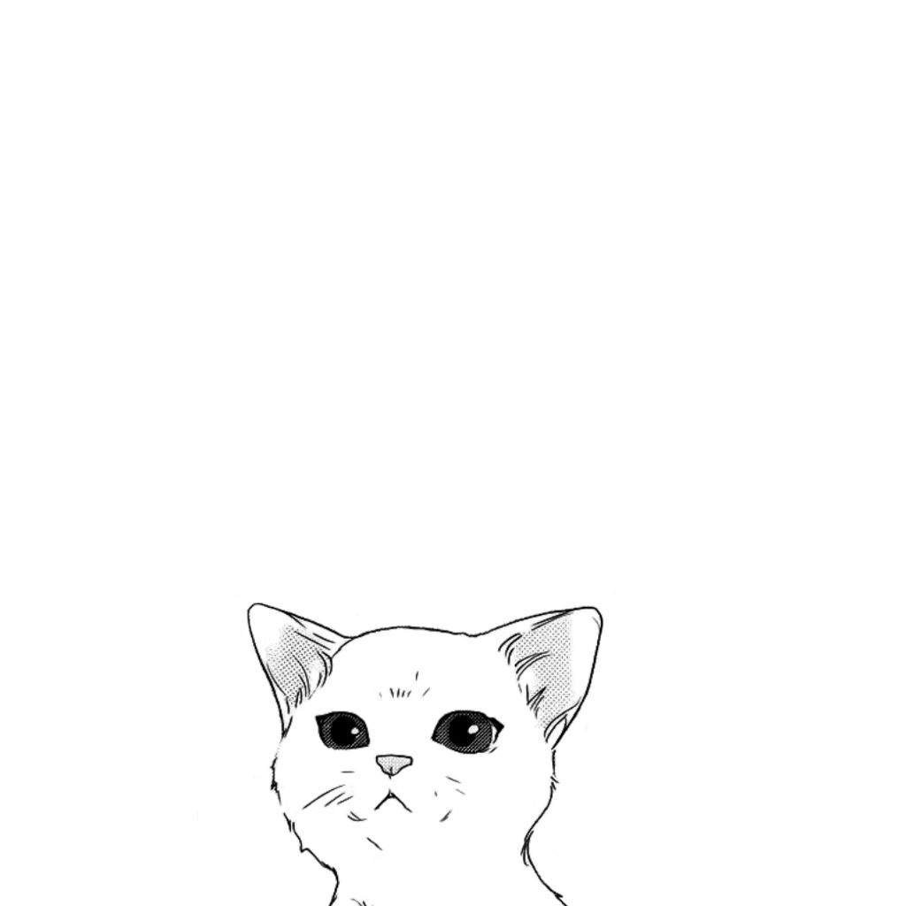 Аниме кот на белом фоне