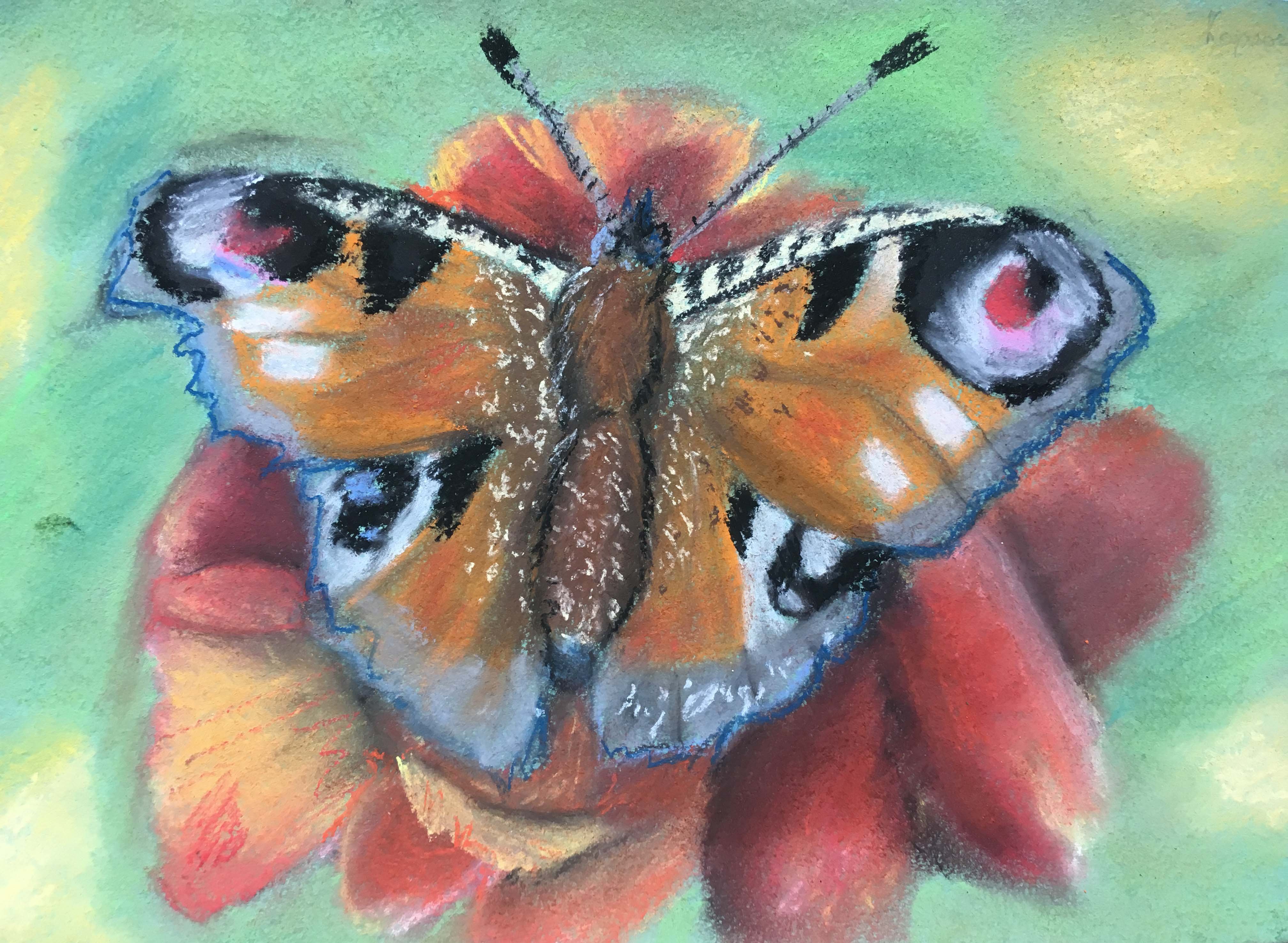 Бабочка рисовать пастелью для начинающих