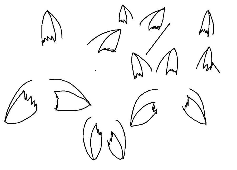 Как нарисовать кошачий хвост