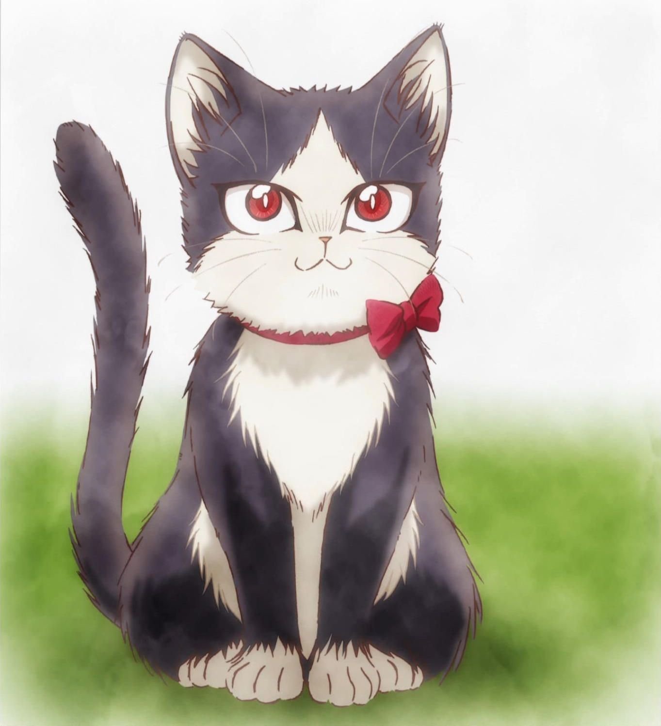 Кошка Хару из аниме домашний питомец