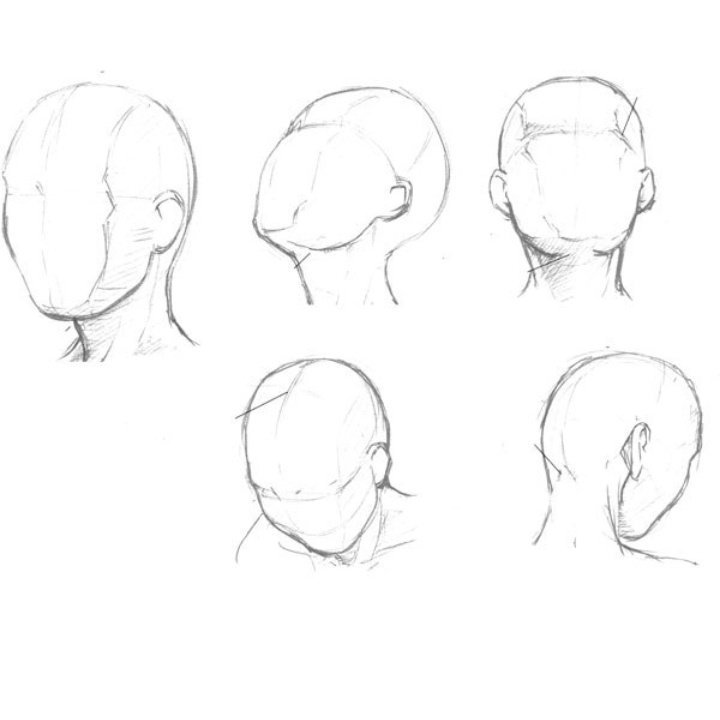 Позы головы человека. Форма головы для рисования. Рисование головы с боку. Ракурсы головы для рисования. Набросок головы для рисования.