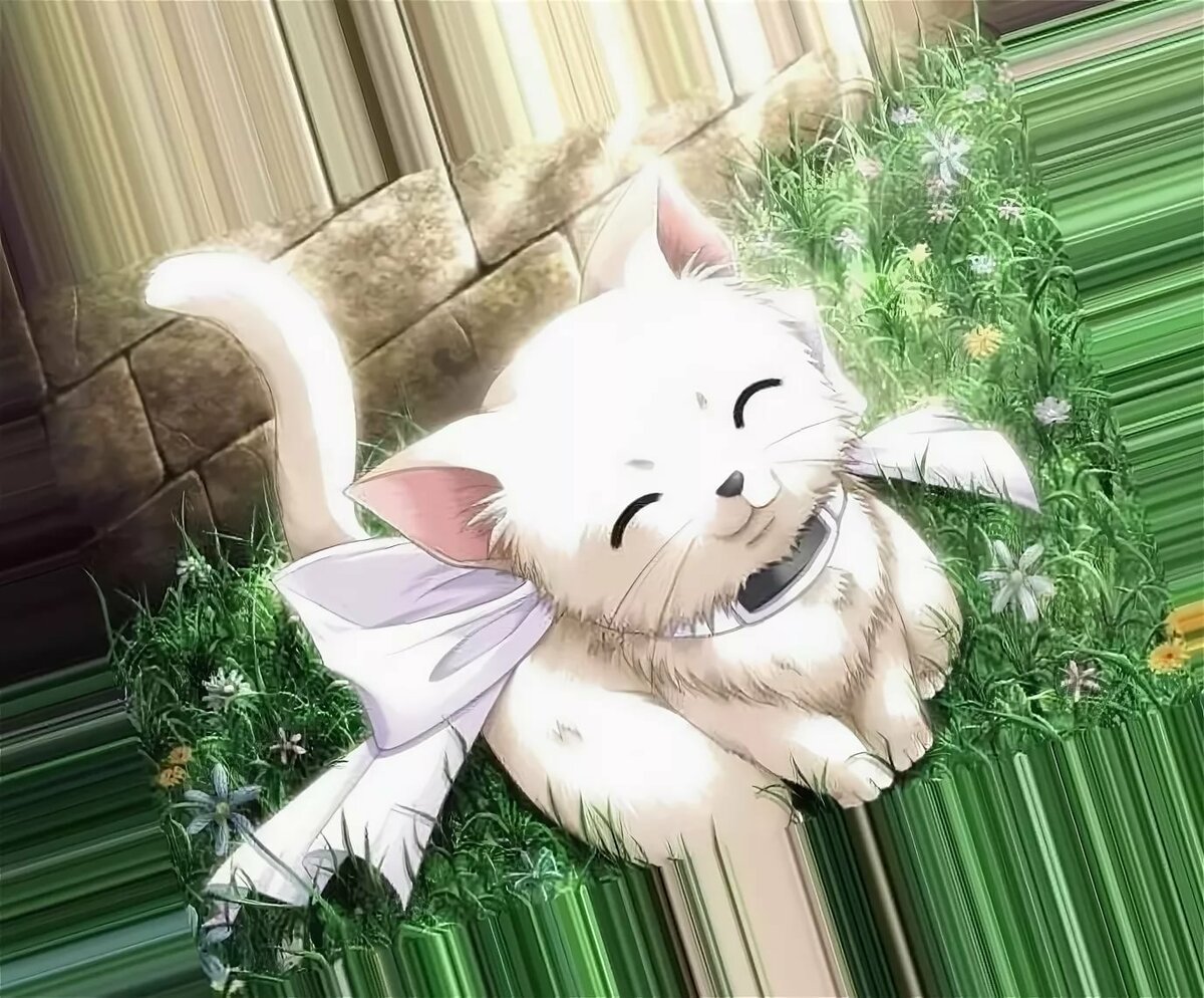 Белый кот аниме