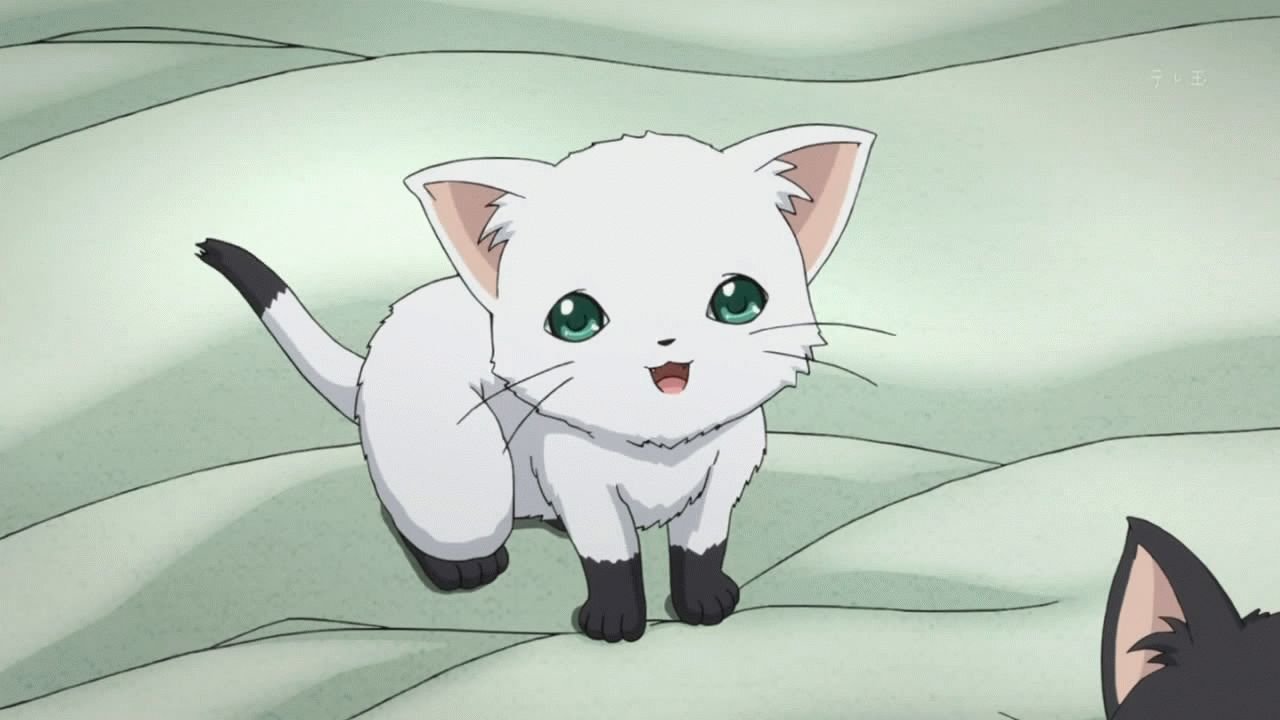 Кошки из аниме