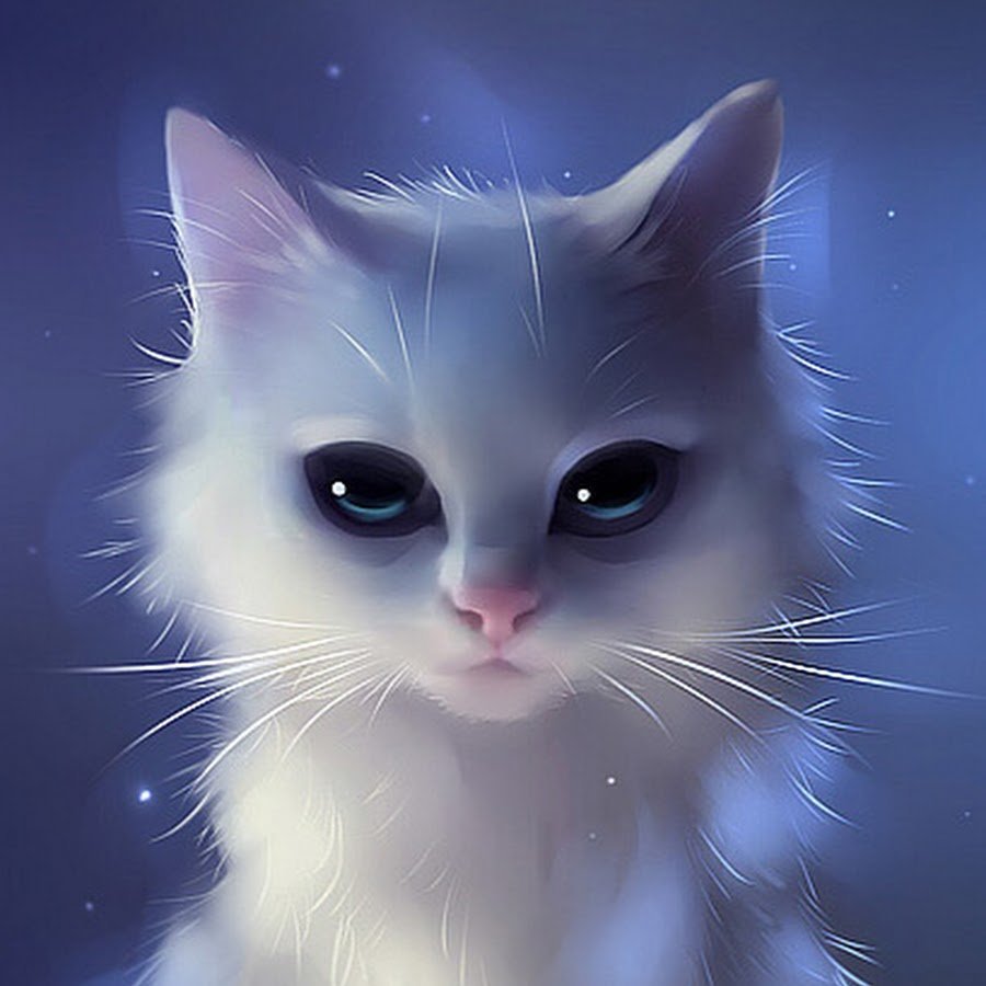 Рисунки белый кот аниме