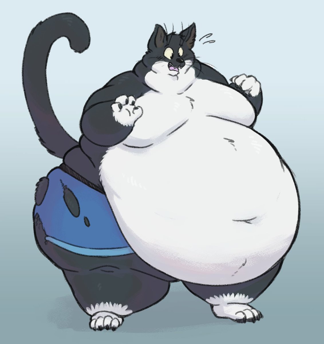 Fat furry Cat