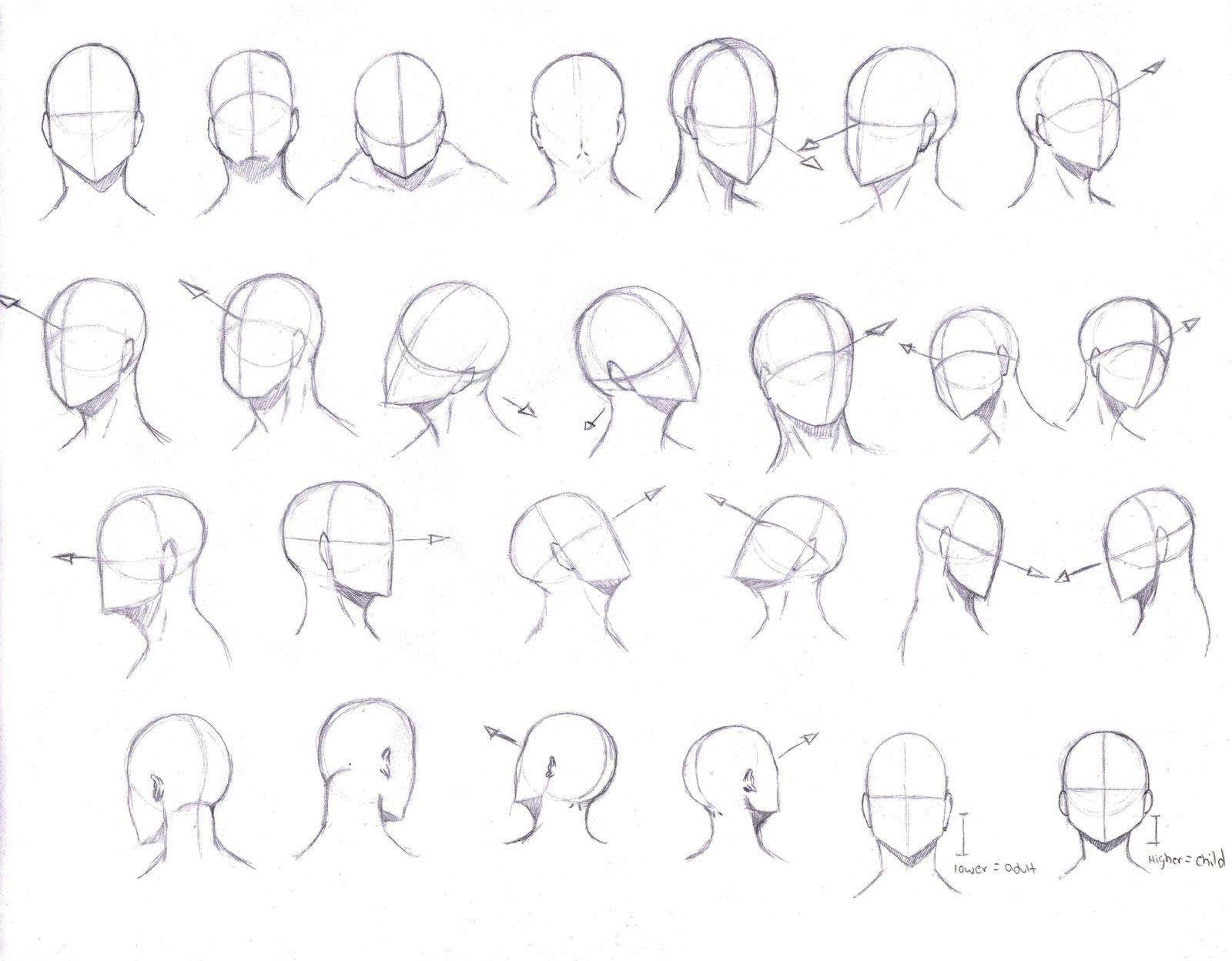 Рисование головы в разных ракурсах