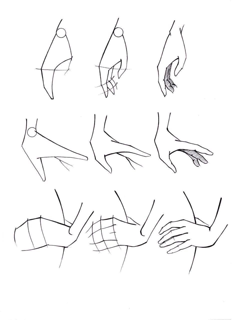 Поэтапный рисунок руки