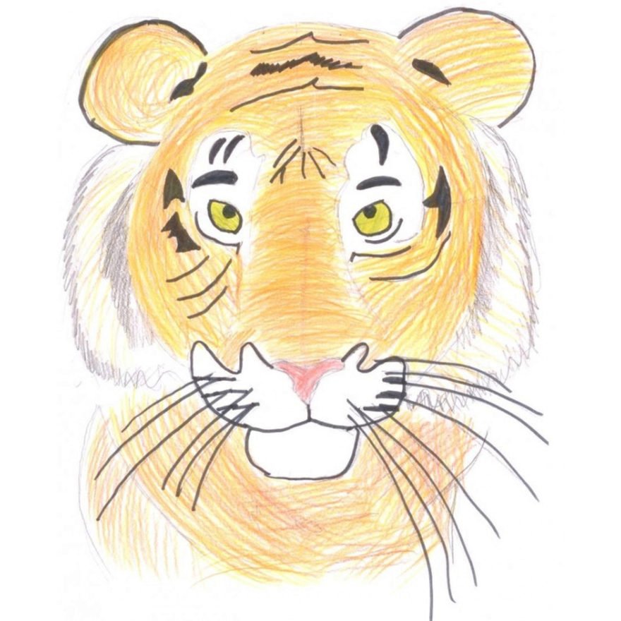 Нарисовать рисунок тигра