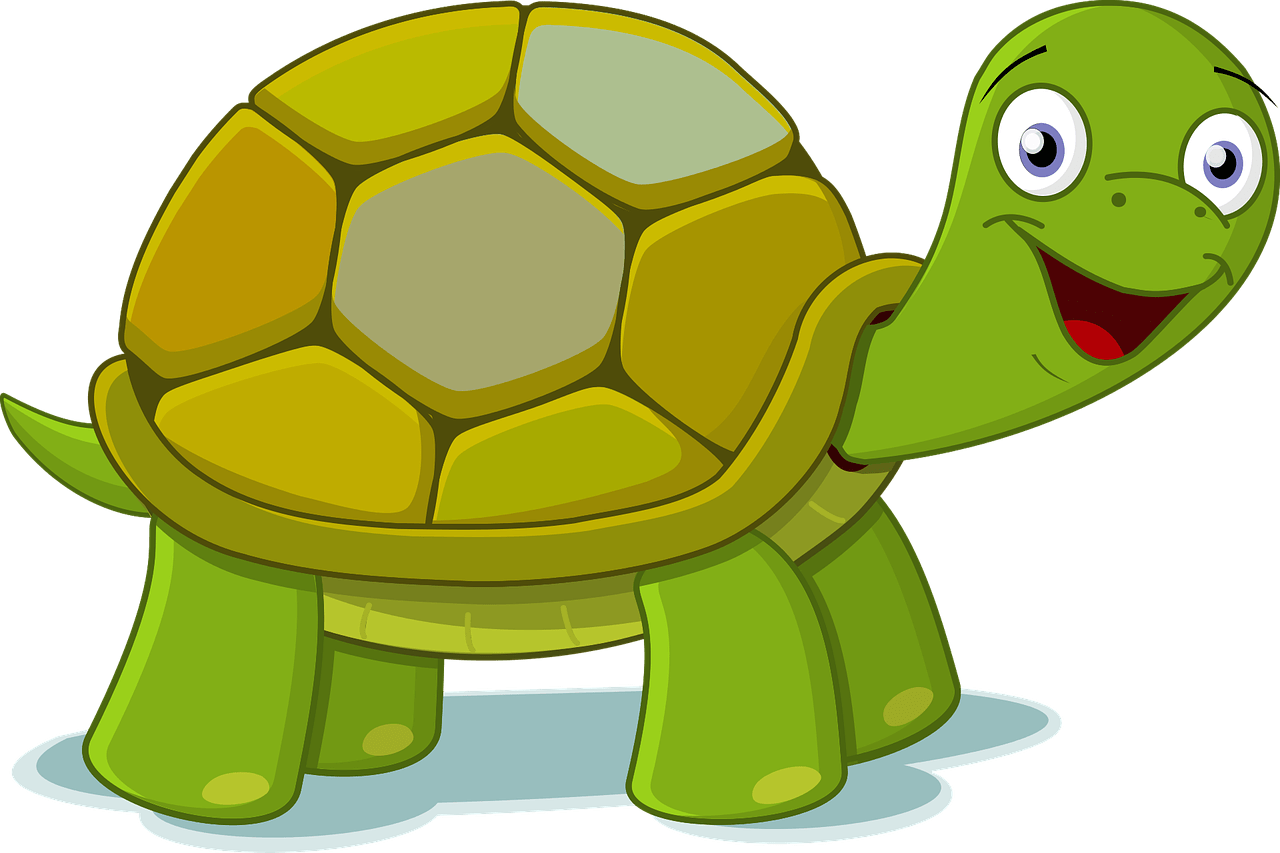 Картинка черепахи из мультика. Картун черепаха. Черепаха для детей. Мультяшные черепахи. Черепашка мультяшная.