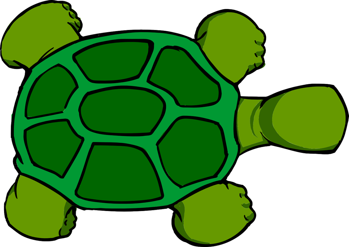 Left turtle. Черепаха рисунок. Черепашка картинка для детей. Черепашка рисунок для детей. Черепаха мультяшная.