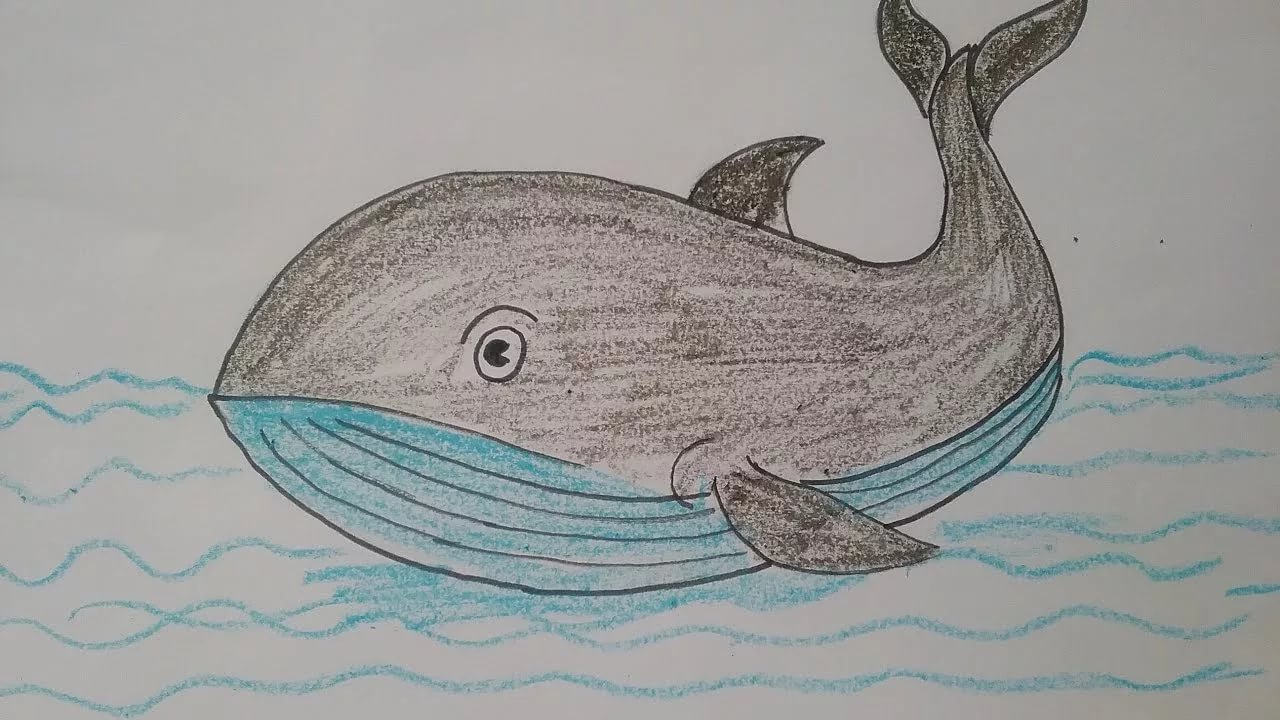 Папа кит карандашами. Кит рисунок. Нарисовать кита карандашом. Картинки кита карандашом. Кит рисование для детей.