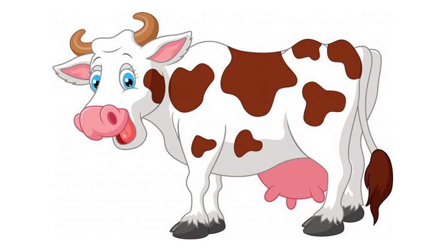 Картинка корова на прозрачном фоне