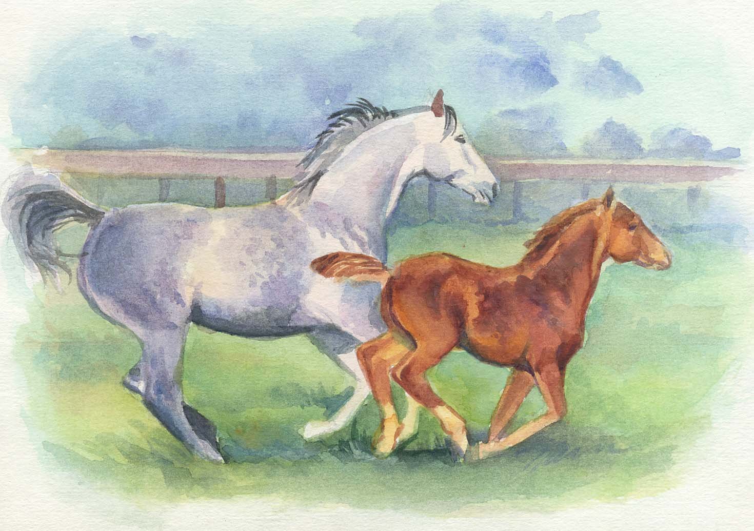 Лошадь с жеребенком рисунок