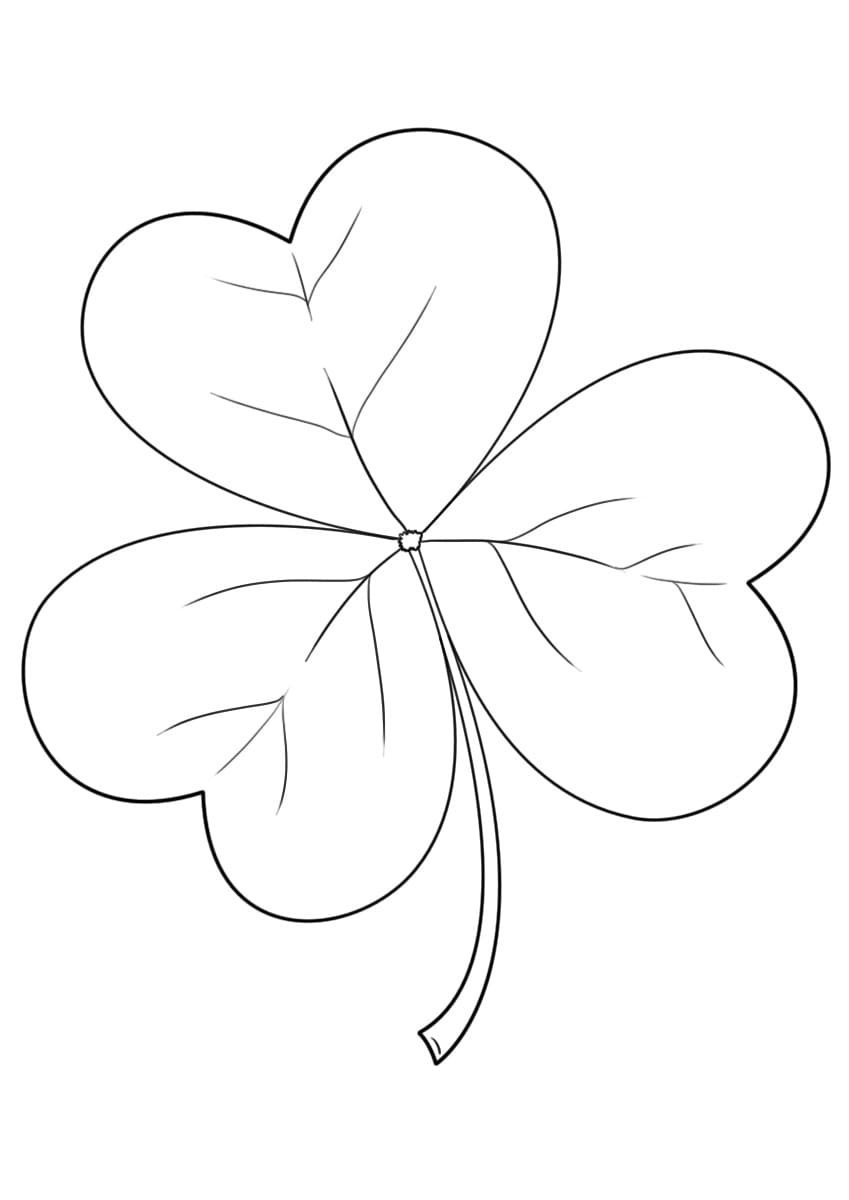 Рисунки для срисовки на лист а4. Клевер трехлистный раскраска. Клевер символ Ирландии. Лист клевера раскраска. Клевер рисунок карандашом.